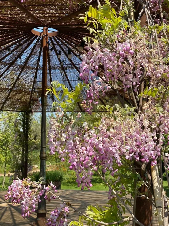 Mas Generos - Adults-Only Eco Hotel Fonteta